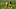 Green Bay Packers, Jordan Love, Aaron Rodgers Green Bay Packers, Jordan Love, Aaron Rodgers