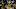 Jerian Grant Jerian Grant