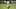 Fantasy Football, Adam Thielen Fantasy Football, Adam Thielen