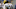 Ricky Williams, New Orleans Saints