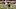 Cleveland Browns Cleveland Browns