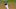 Aug 25, 2015; Cleveland, OH, USA; Cleveland Indians third baseman Giovanny Urshela (39) throws to first base in the seventh inning against the Milwaukee Brewers at Progressive Field. Mandatory Credit: David Richard-USA TODAY Sports