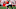 Chicago Bears, Darnell Savage Jr. Chicago Bears, Darnell Savage Jr.