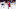 Montreal Canadiens Montreal Canadiens