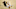 OAKLAND, CA – JUNE 12: Klay Thompson (Photo by Ezra Shaw/Getty Images) – Lakers Rumors