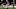 New England Patriots New England Patriots