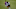 Talles Magno, new signing for New York City FC Talles Magno, new signing for New York City FC