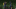 Arsenal Arsenal