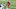 Philadelphia Eagles Tevin Coleman