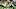 GREEN BAY, WISCONSIN ā AUGUST 08: Ty Summers #44 of the Green Bay Packers calls out instructions in the third quarter against the Houston Texans during a preseason game at Lambeau Field on August 08, 2019 in Green Bay, Wisconsin. (Photo by Dylan Buell/Getty Images) GREEN BAY, WISCONSIN ā AUGUST 08: Ty Summers #44 of the Green Bay Packers calls out instructions in the third quarter against the Houston Texans during a preseason game at Lambeau Field on August 08, 2019 in Green Bay, Wisconsin. (Photo by Dylan Buell/Getty Images)