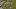 2014-09-13 21_21_22 2014-09-13 21_21_22