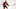 New Jersey Devils New Jersey Devils