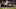 PALO ALTO, CA – NOVEMBER 10: Myles Gaskin