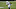 Chicago Bears, Zach Pascal Chicago Bears, Zach Pascal