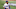 Toronto Blue Jays
