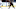 Kim Klement-USA TODAY Sports Kim Klement-USA TODAY Sports
