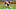 Philadelphia Eagles Philadelphia Eagles