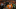 Nov 15, 2015; Denver, CO, USA; Denver Broncos quarterback Peyton Manning (18) walks off the field after the game against the Kansas City Chiefs at Sports Authority Field at Mile High. The Chiefs won 29-13. Mandatory Credit: Chris Humphreys-USA TODAY Sports Nov 15, 2015; Denver, CO, USA; Denver Broncos quarterback Peyton Manning (18) walks off the field after the game against the Kansas City Chiefs at Sports Authority Field at Mile High. The Chiefs won 29-13. Mandatory Credit: Chris Humphreys-USA TODAY Sports