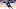 toronto maple leafs toronto maple leafs
