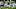 EUGENE, OREGON – NOVEMBER 13: Running back Byron Cardwell #21 of the Oregon Ducks runs the ball for a touchdown during the second half of the game against the Washington State Cougars at Autzen Stadium on November 13, 2021 in Eugene, Oregon. The Ducks won 38-17. (Photo by Steve Dykes/Getty Images) EUGENE, OREGON – NOVEMBER 13: Running back Byron Cardwell #21 of the Oregon Ducks runs the ball for a touchdown during the second half of the game against the Washington State Cougars at Autzen Stadium on November 13, 2021 in Eugene, Oregon. The Ducks won 38-17. (Photo by Steve Dykes/Getty Images)