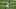 Green Bay Packers Green Bay Packers