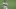 Kolten Wong Kolten Wong