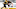 Boston Bruins Boston Bruins
