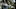 Masters, 2023 Masters Tournament, Augusta National, DraftKings, Tiger Woods