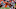 Clemson Clemson