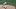 FanDuel MLB FanDuel MLB