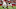GLENDALE, AZ – SEPTEMBER 18: Defensive back Tyvon Branch (Photo by Christian Petersen/Getty Images) GLENDALE, AZ – SEPTEMBER 18: Defensive back Tyvon Branch (Photo by Christian Petersen/Getty Images)