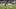 Sounders