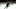 San Jose Sharks