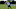 New England Patriots New England Patriots