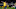 SINSHEIM, GERMANY – DECEMBER 20: (BILD ZEITUNG OUT) Paco Alcacer of Borussia Dortmund controls the ball during the Bundesliga match between TSG 1899 Hoffenheim and Borussia Dortmund at PreZero-Arena on December 20, 2019 in Sinsheim, Germany. (Photo by TF-Images/Getty Images) SINSHEIM, GERMANY – DECEMBER 20: (BILD ZEITUNG OUT) Paco Alcacer of Borussia Dortmund controls the ball during the Bundesliga match between TSG 1899 Hoffenheim and Borussia Dortmund at PreZero-Arena on December 20, 2019 in Sinsheim, Germany. (Photo by TF-Images/Getty Images)