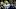 Michigan football Michigan football