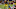 NFL: New York Giants at Washington Redskins