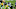 Matthew Judon