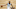 Los Angeles Lakers
