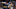 (Photo by Christian Petersen/Getty Images) – Los Angeles Dodgers