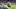 New England Patriots vs Atlanta Falcons: 6 players to watch for New England Patriots vs Atlanta Falcons: 6 players to watch for