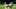 Leicester City Leicester City