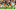 NFL NFL