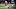 Bills Devin Singletary turns upfield against the Patriots. Bills Devin Singletary turns upfield against the Patriots.