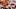Sep 24, 2022; Knoxville, Tennessee, USA; Tennessee Volunteers quarterback Hendon Hooker (5) passes the ball against the Florida Gators during the first quarter at Neyland Stadium. Mandatory Credit: Randy Sartin-USA TODAY Sports