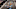 INDIANAPOLIS, IN – MAY 28: A general view of the start of the 101st running of the Indianapolis 500 at Indianapolis Motorspeedway on May 28, 2017 in Indianapolis, Indiana. (Photo by Chris Graythen/Getty Images) INDIANAPOLIS, IN – MAY 28: A general view of the start of the 101st running of the Indianapolis 500 at Indianapolis Motorspeedway on May 28, 2017 in Indianapolis, Indiana. (Photo by Chris Graythen/Getty Images)