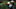 Tommy Fleetwood British Open 2019 Royal Portrush featured groups Tommy Fleetwood British Open 2019 Royal Portrush featured groups