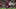 Liverpool v Spurs Champions League Final Liverpool v Spurs Champions League Final
