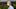 Philadelphia Phillies Dave Dombrowski