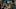 Colman Domingo Colman Domingo